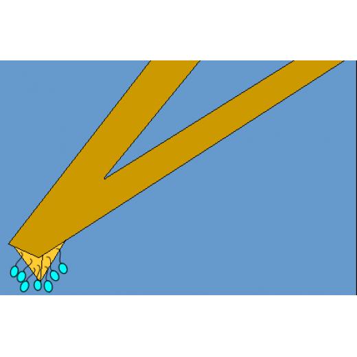 PT.GS系列探针,SiO2小球针尖（表面化学修饰），0.01-16N/m，Novascan（5根起订）