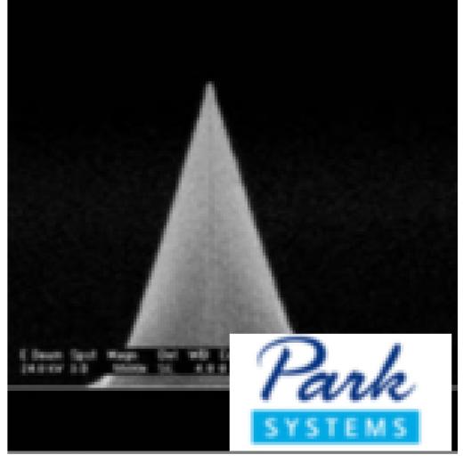 PPP-CONTSCR,带针托,轻敲针尖,0.2N/M,Park