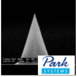 PPP-CONTSCR,带针托,轻敲针尖,0.2N/M,Park