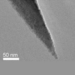 PPP-NCHR轻敲,42N/M,Nanosensors,Al