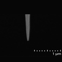 TN-HAR-5,碳纳米管针尖,5nm,,长径比>10:1,CDI