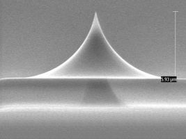 qp-fast类石英生物针尖,Nanosensors